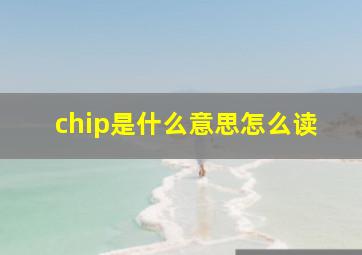 chip是什么意思怎么读