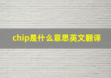 chip是什么意思英文翻译