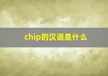 chip的汉语是什么