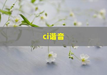 ci谐音