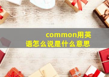 common用英语怎么说是什么意思