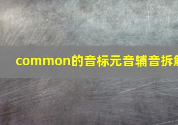 common的音标元音辅音拆解