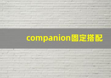 companion固定搭配