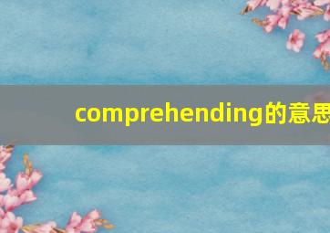 comprehending的意思