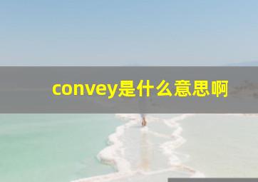 convey是什么意思啊