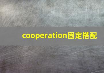 cooperation固定搭配