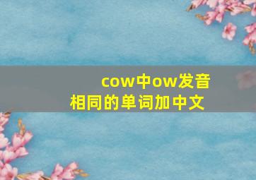 cow中ow发音相同的单词加中文