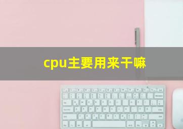 cpu主要用来干嘛