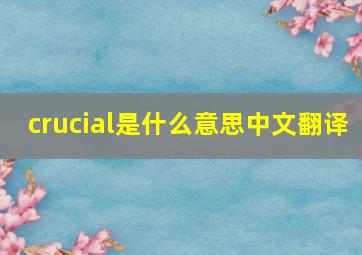 crucial是什么意思中文翻译