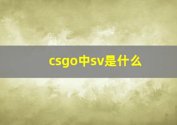 csgo中sv是什么