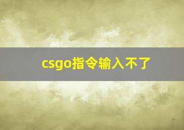 csgo指令输入不了