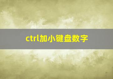 ctrl加小键盘数字