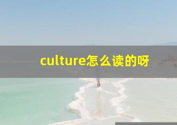 culture怎么读的呀