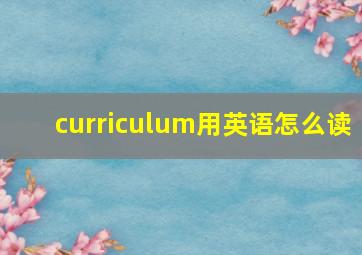 curriculum用英语怎么读