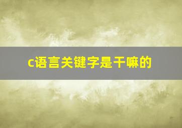 c语言关键字是干嘛的