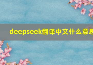 deepseek翻译中文什么意思