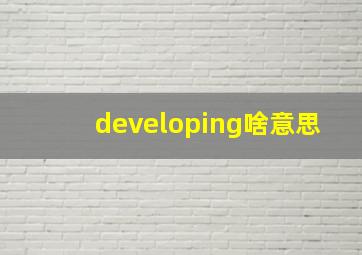 developing啥意思