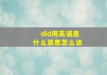 did用英语是什么意思怎么读