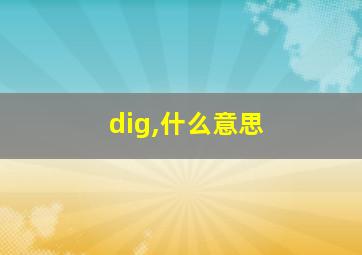 dig,什么意思