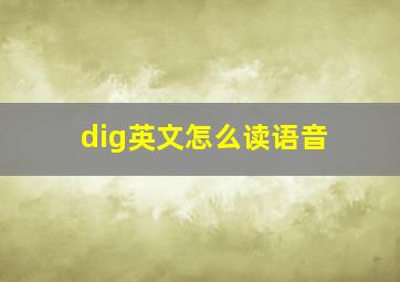 dig英文怎么读语音