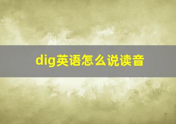 dig英语怎么说读音