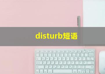 disturb短语