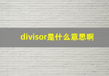 divisor是什么意思啊