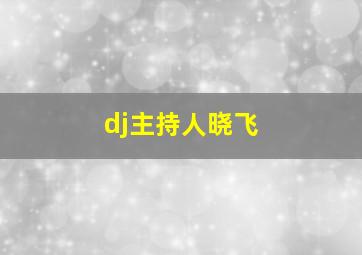 dj主持人晓飞