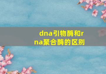 dna引物酶和rna聚合酶的区别