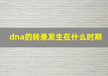 dna的转录发生在什么时期