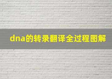 dna的转录翻译全过程图解