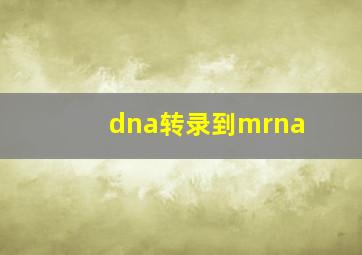 dna转录到mrna