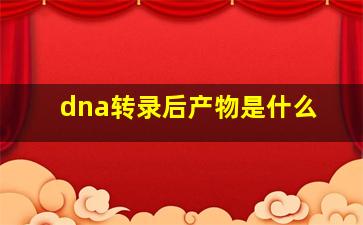 dna转录后产物是什么