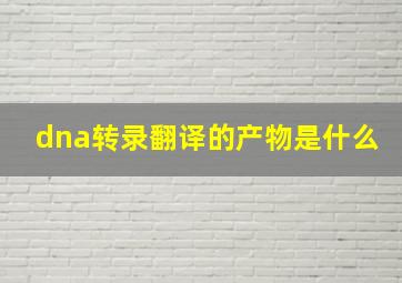 dna转录翻译的产物是什么