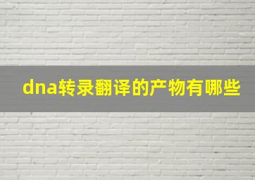 dna转录翻译的产物有哪些