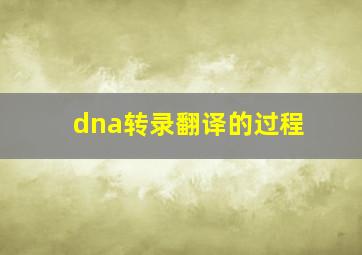 dna转录翻译的过程