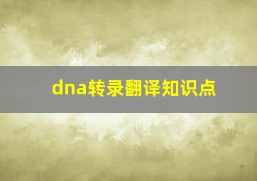 dna转录翻译知识点