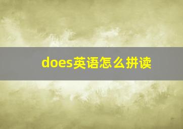 does英语怎么拼读