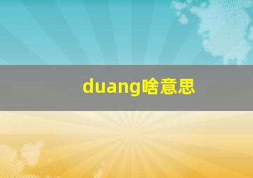 duang啥意思