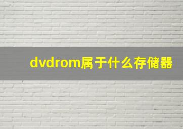 dvdrom属于什么存储器