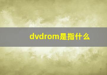 dvdrom是指什么