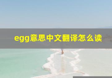 egg意思中文翻译怎么读