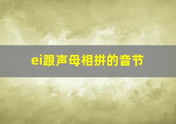 ei跟声母相拼的音节