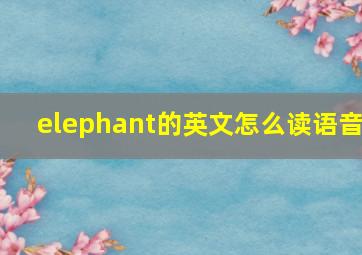 elephant的英文怎么读语音