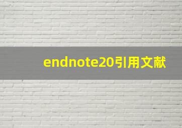 endnote20引用文献