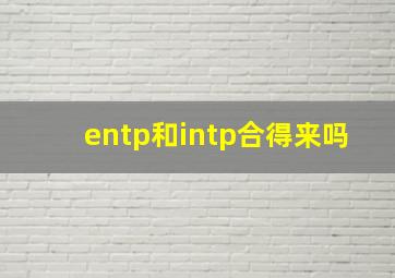 entp和intp合得来吗