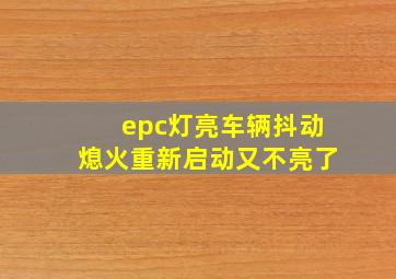 epc灯亮车辆抖动熄火重新启动又不亮了