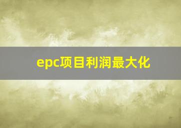 epc项目利润最大化