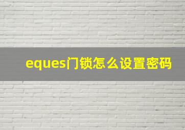 eques门锁怎么设置密码