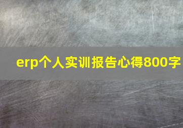 erp个人实训报告心得800字